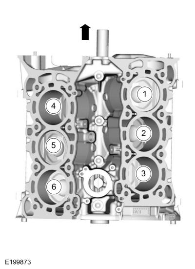 GFD511054