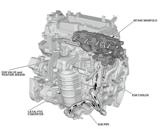 GHH259401