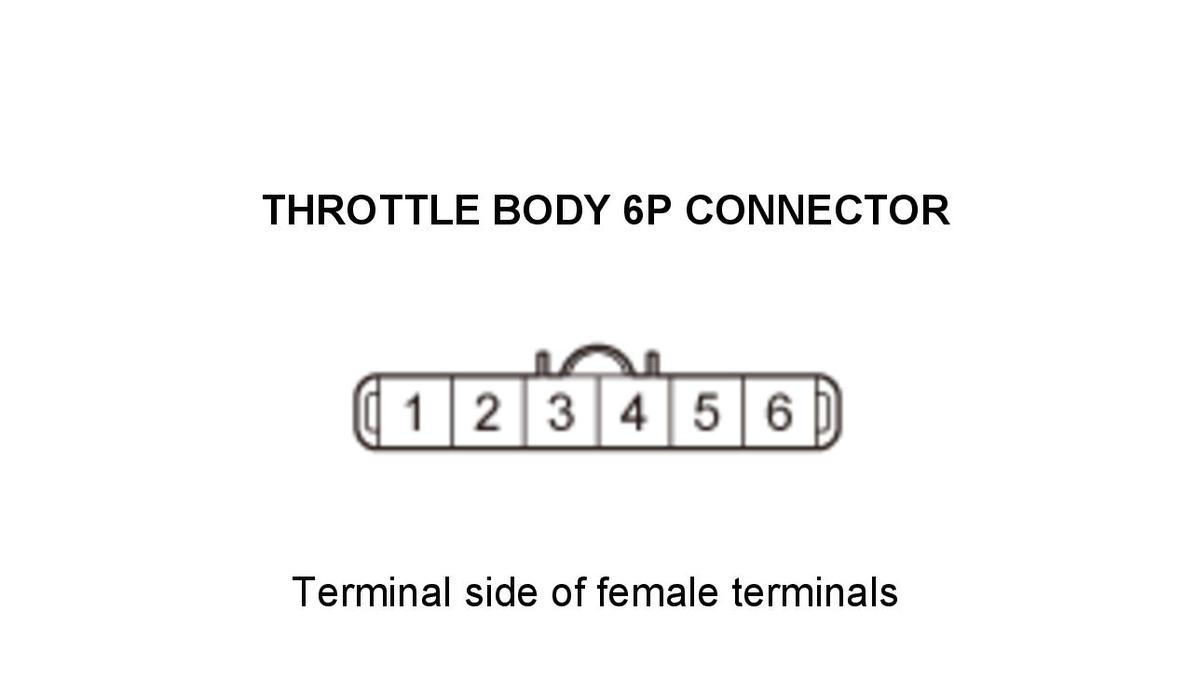 GHH434529