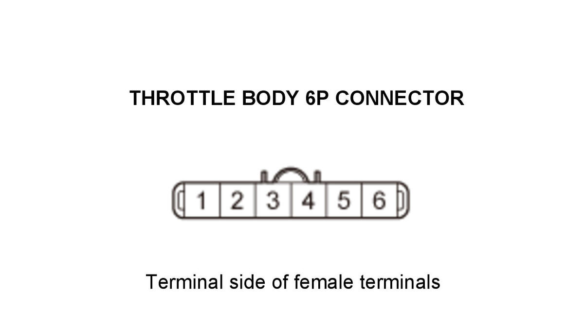 GHH434896
