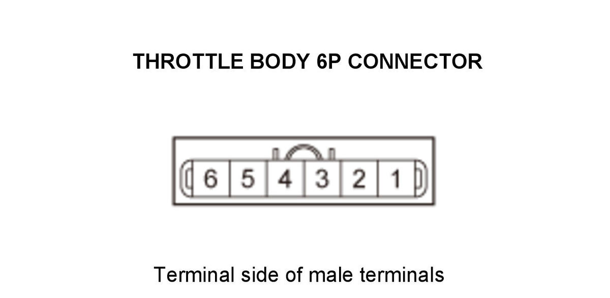 GHH434899