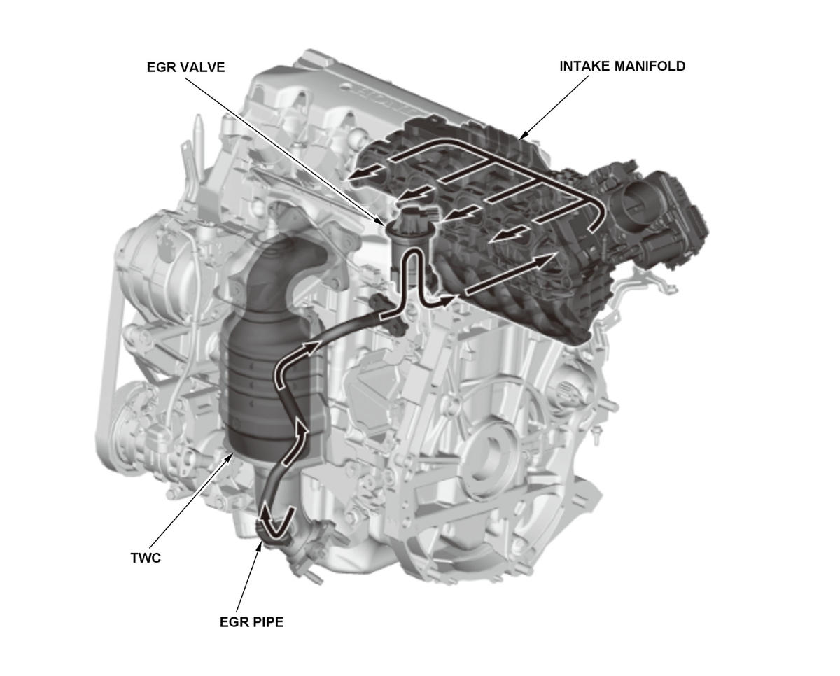 GHH435190