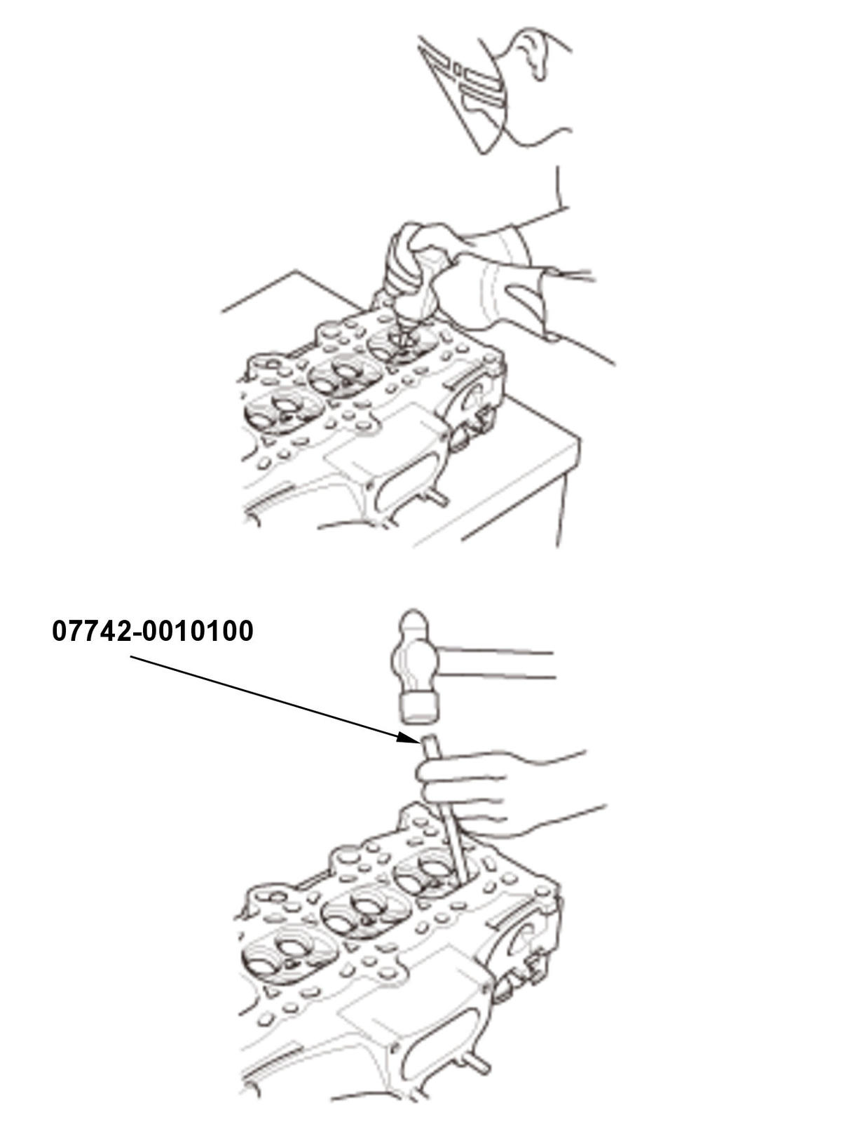 GHH435281