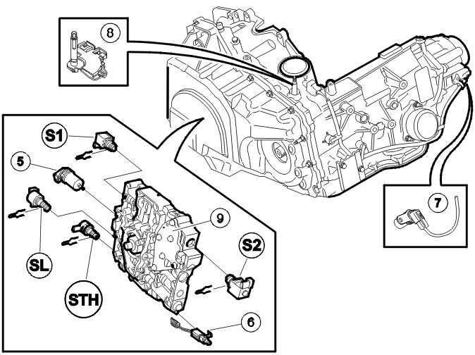 GLL101670
