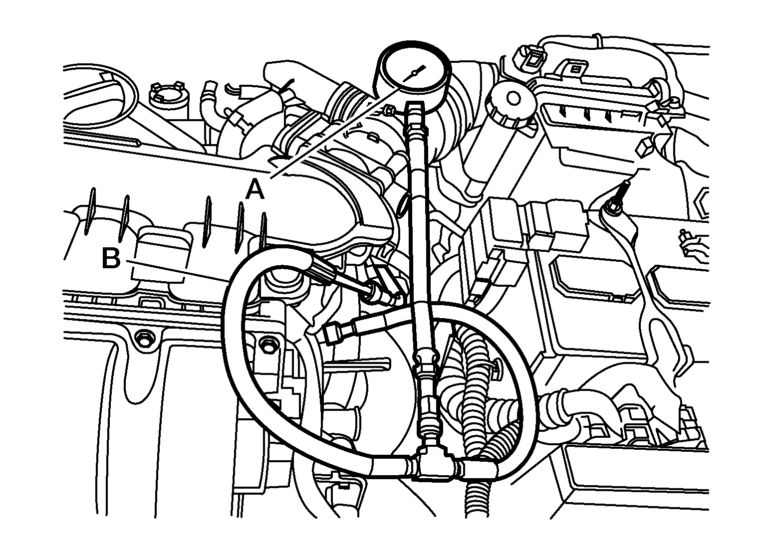 GNSALBIA0981Z-981