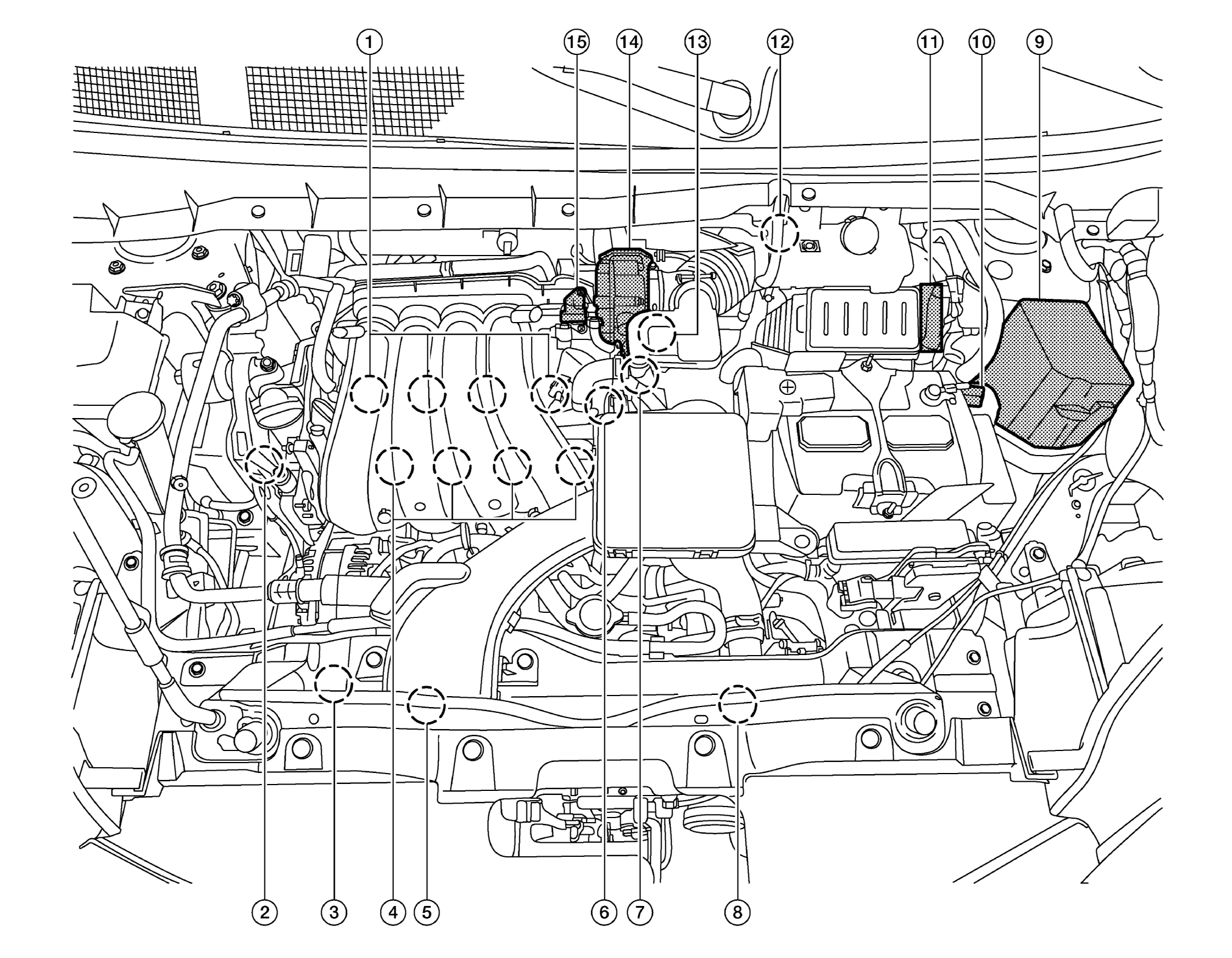 GNSALBIA1242ZZ-242