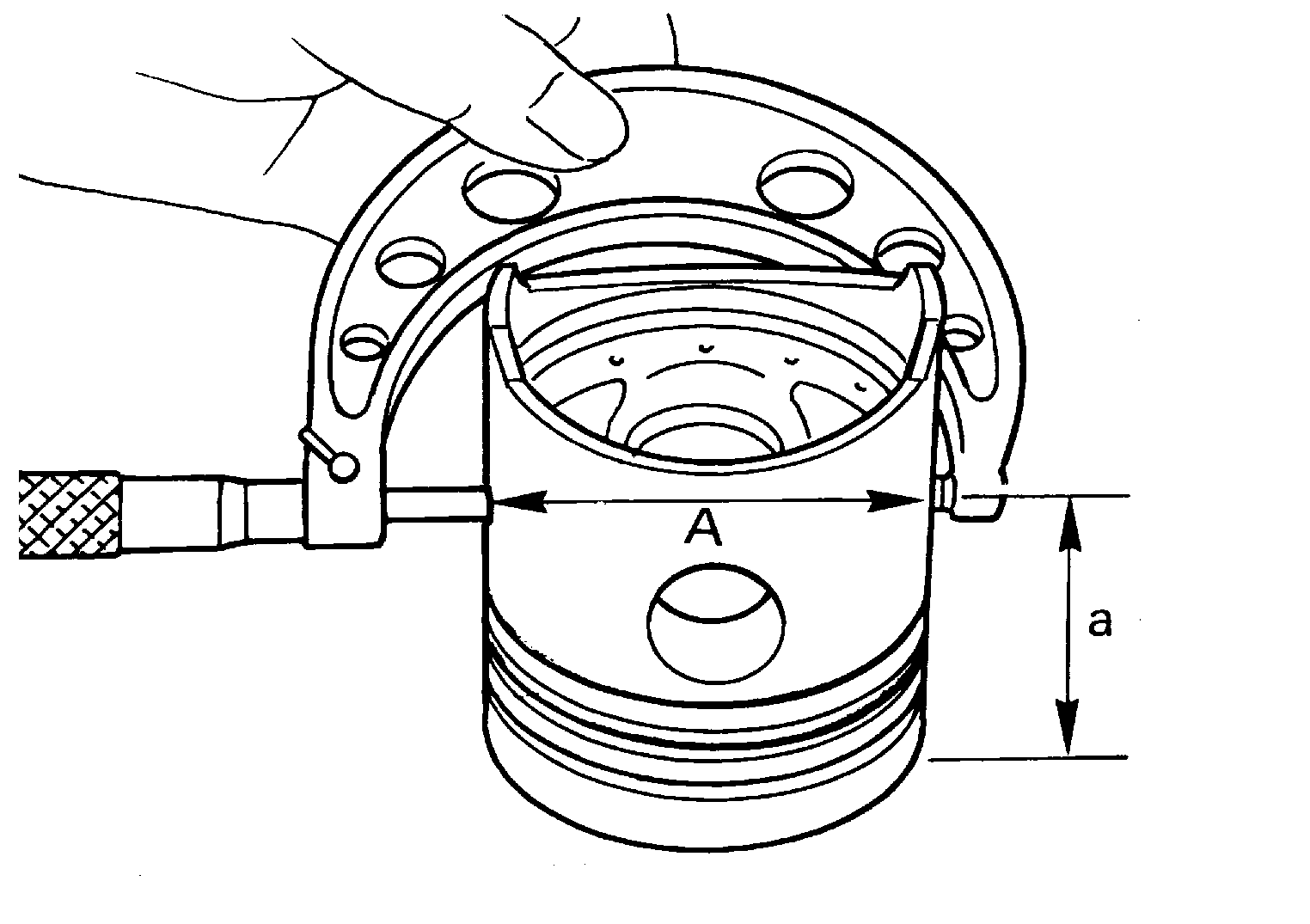 GNSDB45910