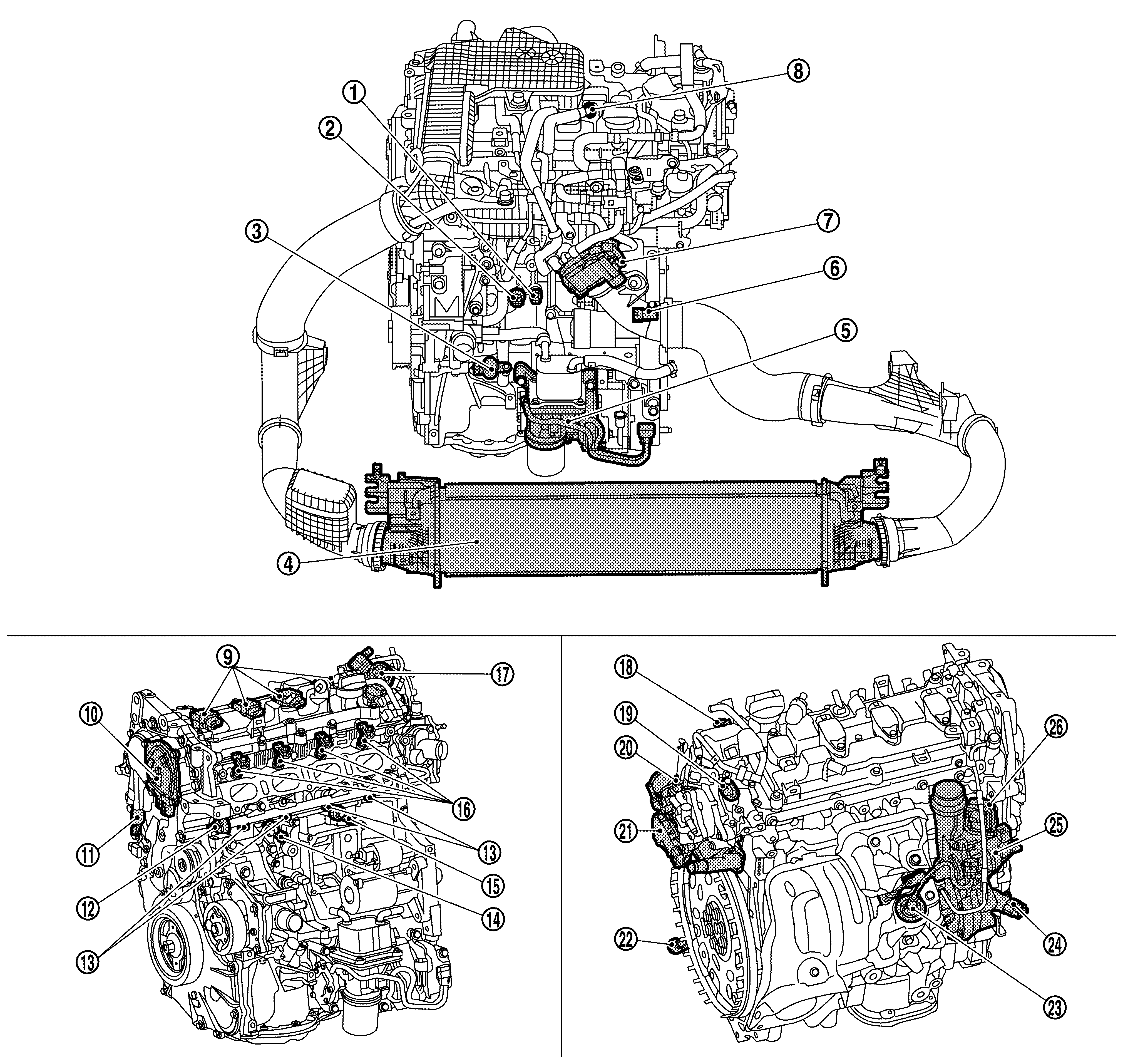 GNSILL0224443