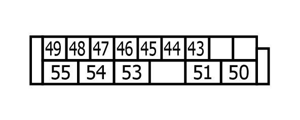 GNSW16491