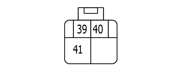 GNSW69813