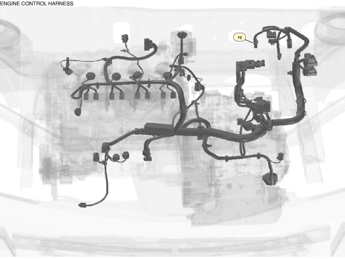 GNSW90111_LK_F008