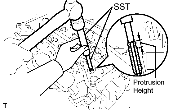 GTY145962