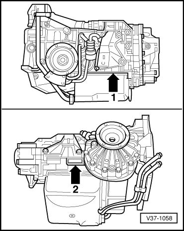 GWWV37-1058